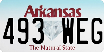 AR license plate 493WEG