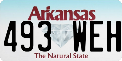 AR license plate 493WEH