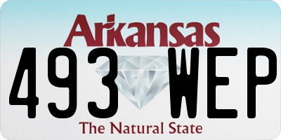 AR license plate 493WEP