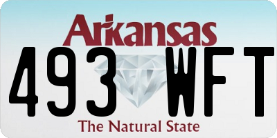 AR license plate 493WFT