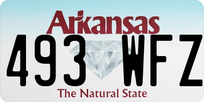 AR license plate 493WFZ