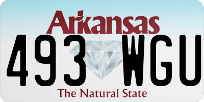 AR license plate 493WGU
