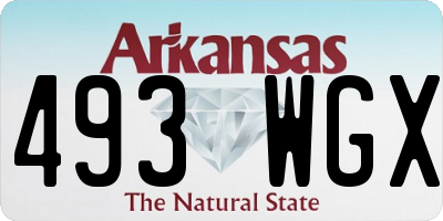 AR license plate 493WGX