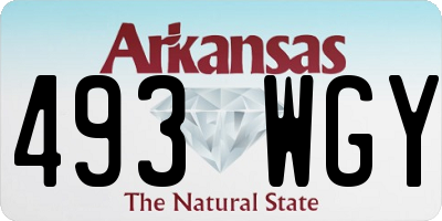 AR license plate 493WGY