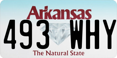 AR license plate 493WHY