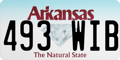AR license plate 493WIB