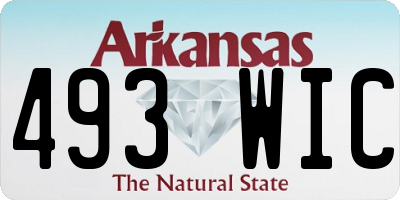 AR license plate 493WIC