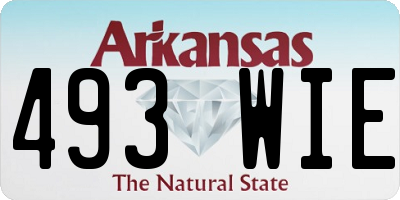 AR license plate 493WIE