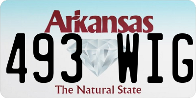 AR license plate 493WIG