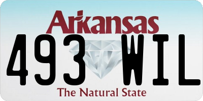 AR license plate 493WIL