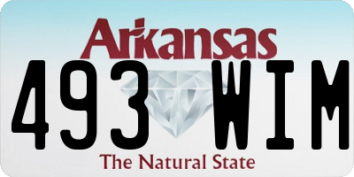 AR license plate 493WIM