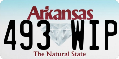 AR license plate 493WIP