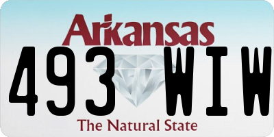 AR license plate 493WIW