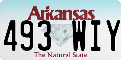 AR license plate 493WIY