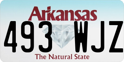 AR license plate 493WJZ