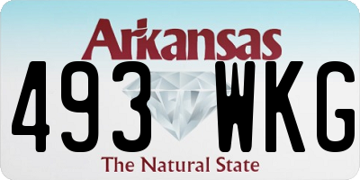 AR license plate 493WKG