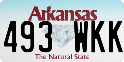 AR license plate 493WKK