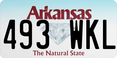 AR license plate 493WKL