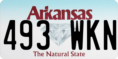 AR license plate 493WKN