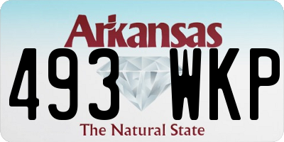 AR license plate 493WKP