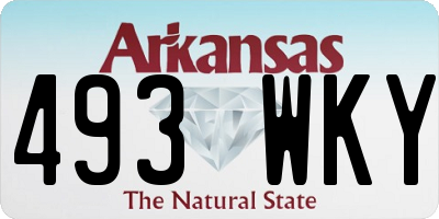 AR license plate 493WKY