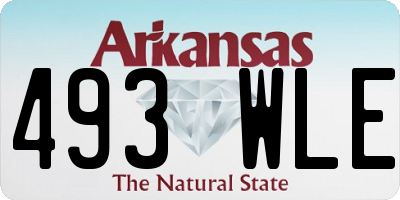 AR license plate 493WLE