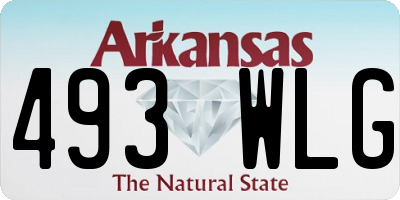 AR license plate 493WLG