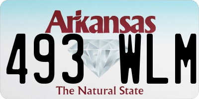 AR license plate 493WLM
