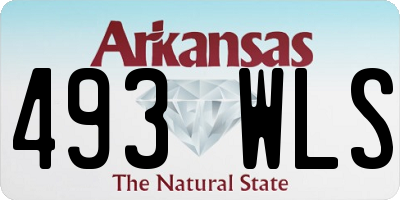 AR license plate 493WLS