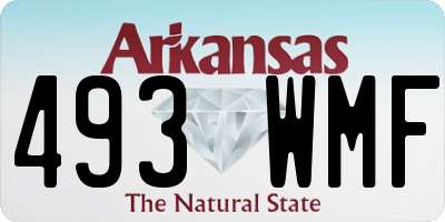 AR license plate 493WMF