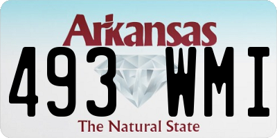 AR license plate 493WMI