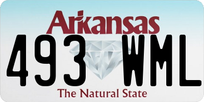 AR license plate 493WML