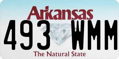 AR license plate 493WMM
