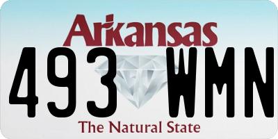 AR license plate 493WMN