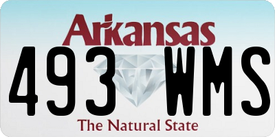 AR license plate 493WMS