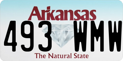 AR license plate 493WMW