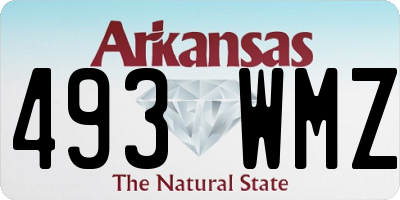 AR license plate 493WMZ