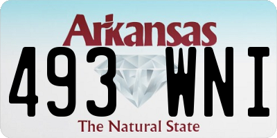 AR license plate 493WNI
