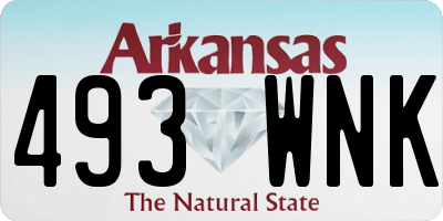 AR license plate 493WNK