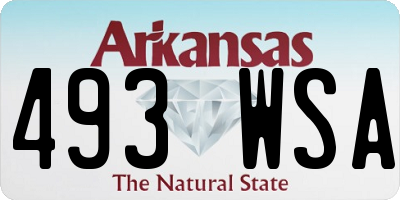 AR license plate 493WSA