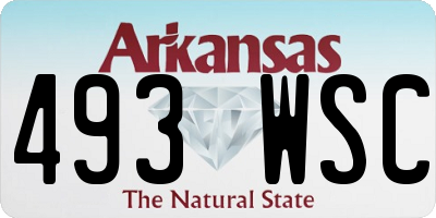 AR license plate 493WSC