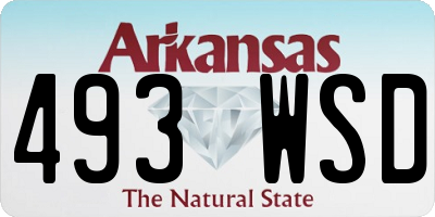 AR license plate 493WSD