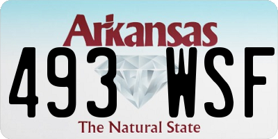 AR license plate 493WSF