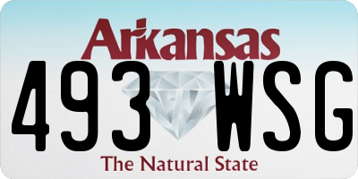 AR license plate 493WSG