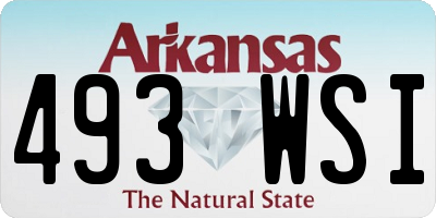 AR license plate 493WSI