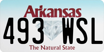 AR license plate 493WSL