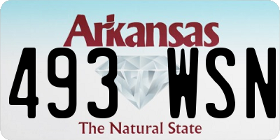 AR license plate 493WSN