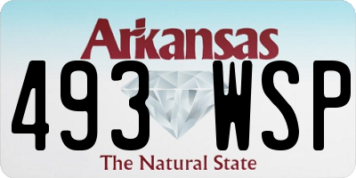 AR license plate 493WSP