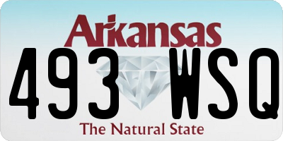 AR license plate 493WSQ