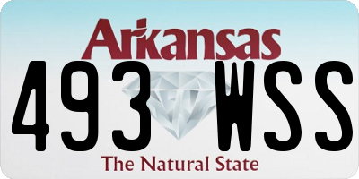 AR license plate 493WSS